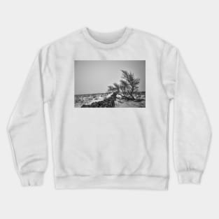 Windswept Lone Tree Crewneck Sweatshirt